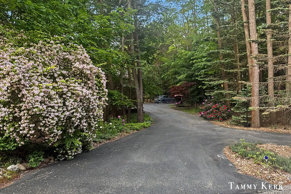 2339 Forest Trail Circle Fennville, MI 49408