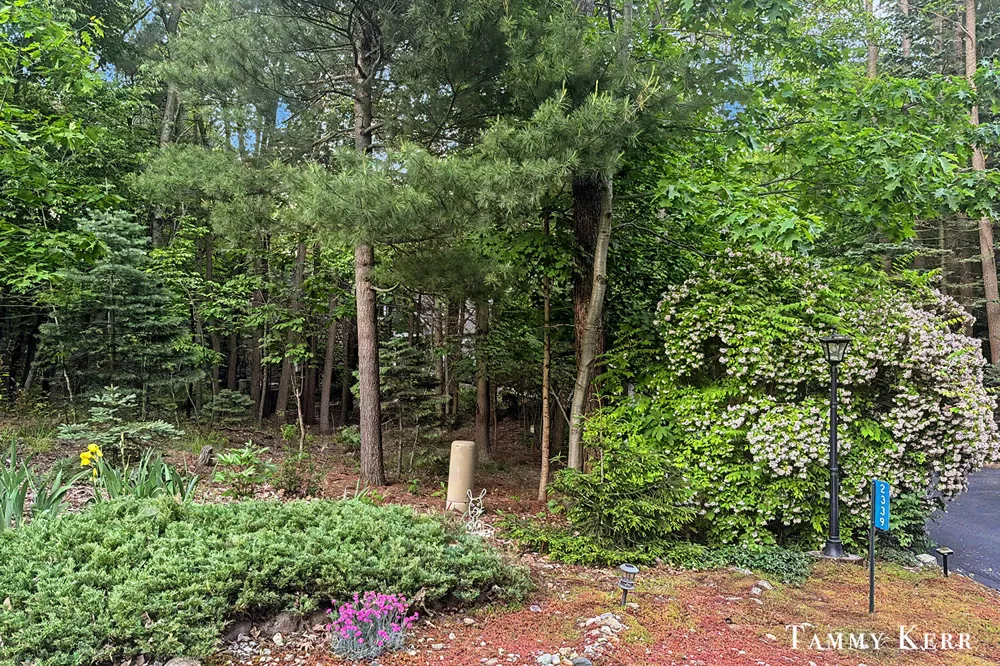 2339 Forest Trail Circle Fennville, MI 49408