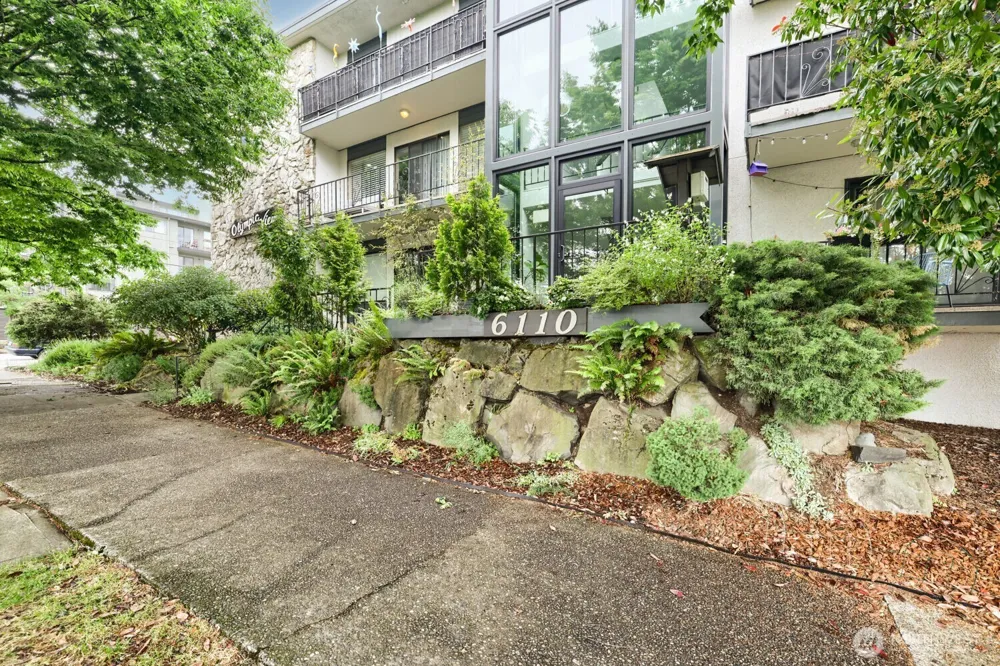 6110 24th Avenue NW #203 Seattle, WA 98107