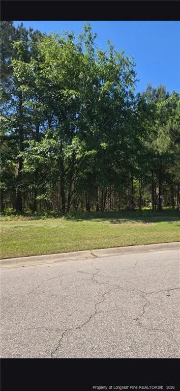 4028 S Main St & Edwin Deaver Street Hope Mills, NC 28348