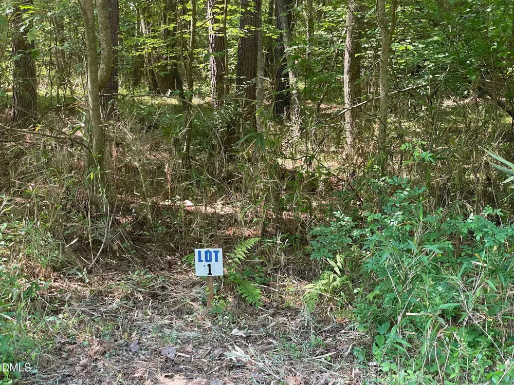 0 Landmark Road Willow Springs, NC 27592