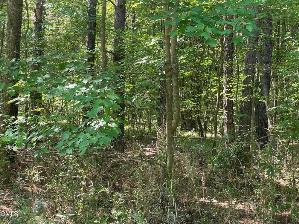 0 Landmark Road Willow Springs, NC 27592