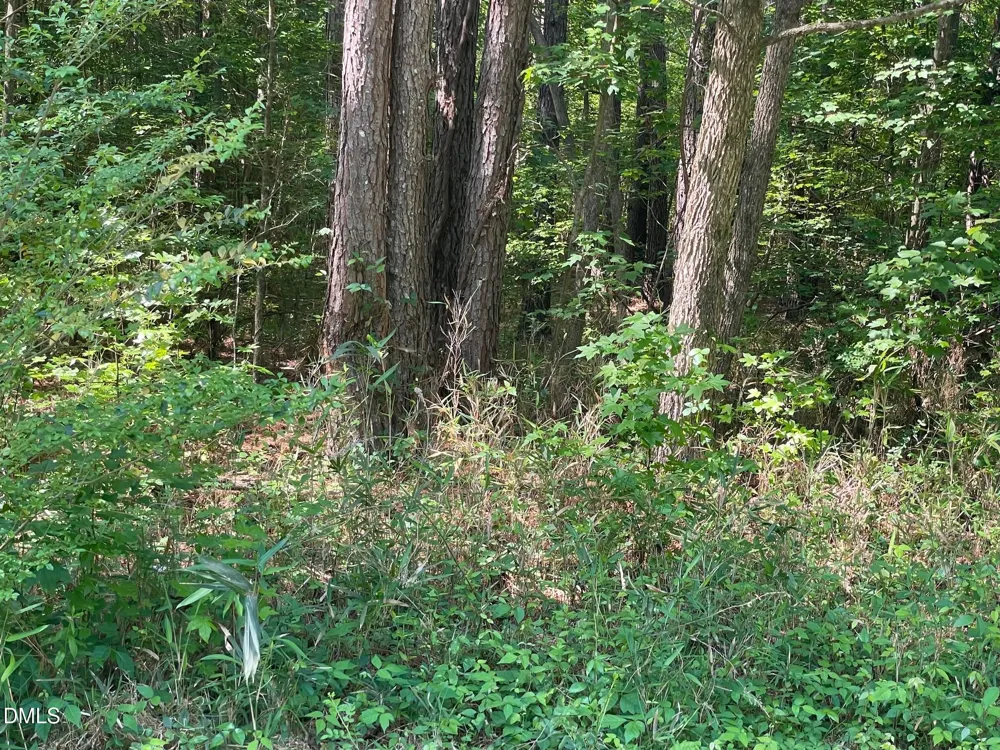 0 Landmark Road Willow Springs, NC 27592