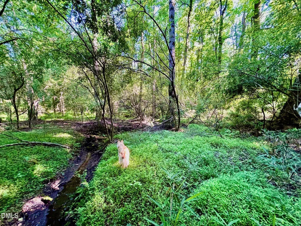 0 Eli Olive Smithfield, NC 27577