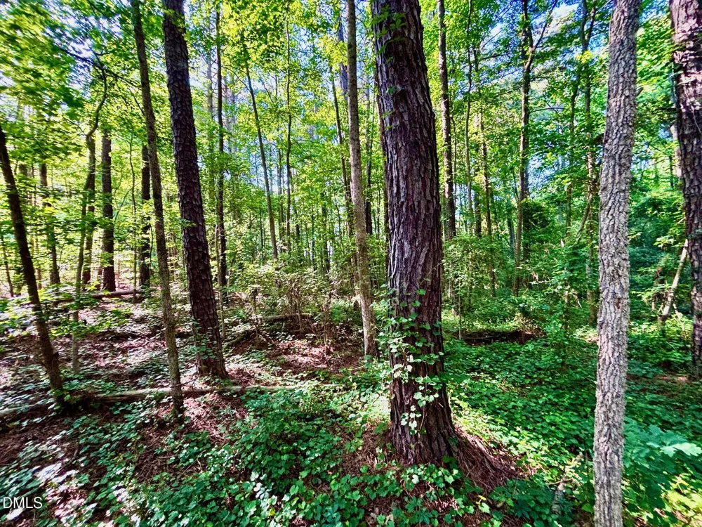0 Eli Olive Smithfield, NC 27577
