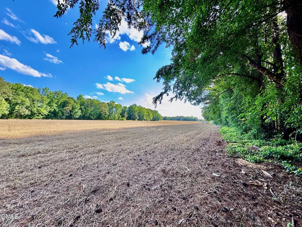 0 Eli Olive Smithfield, NC 27577