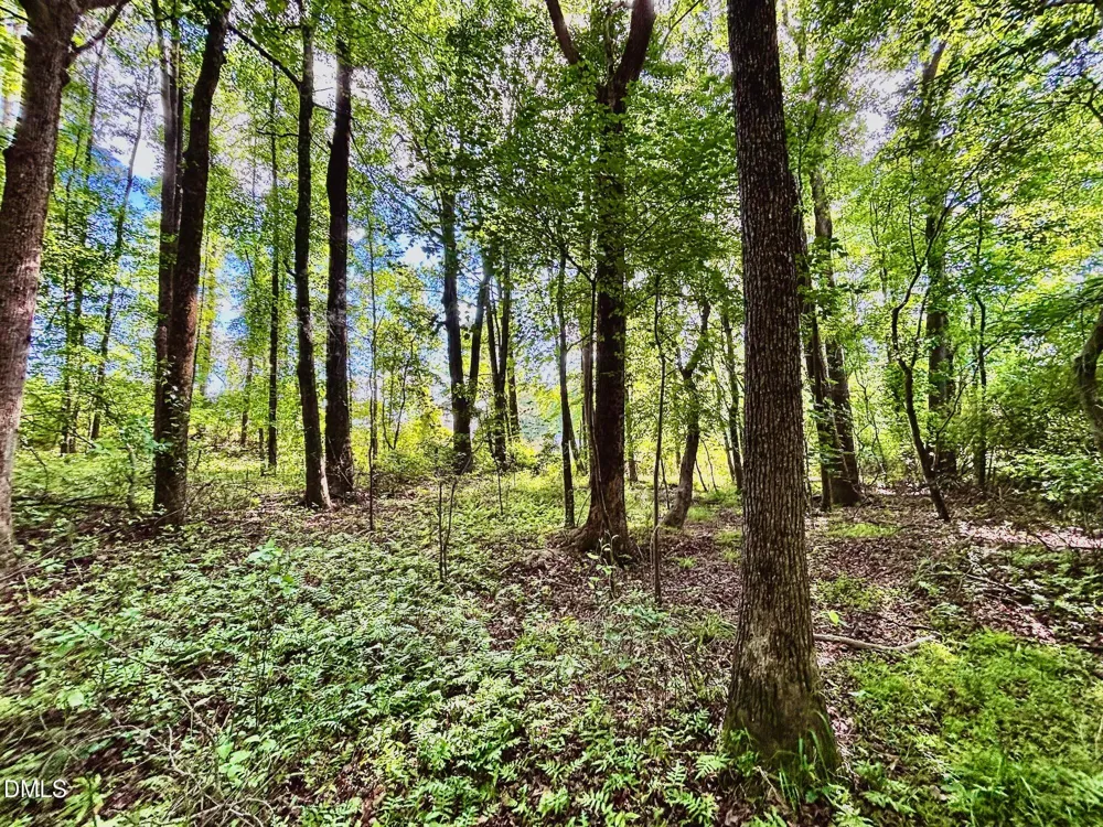 0 Eli Olive Smithfield, NC 27577