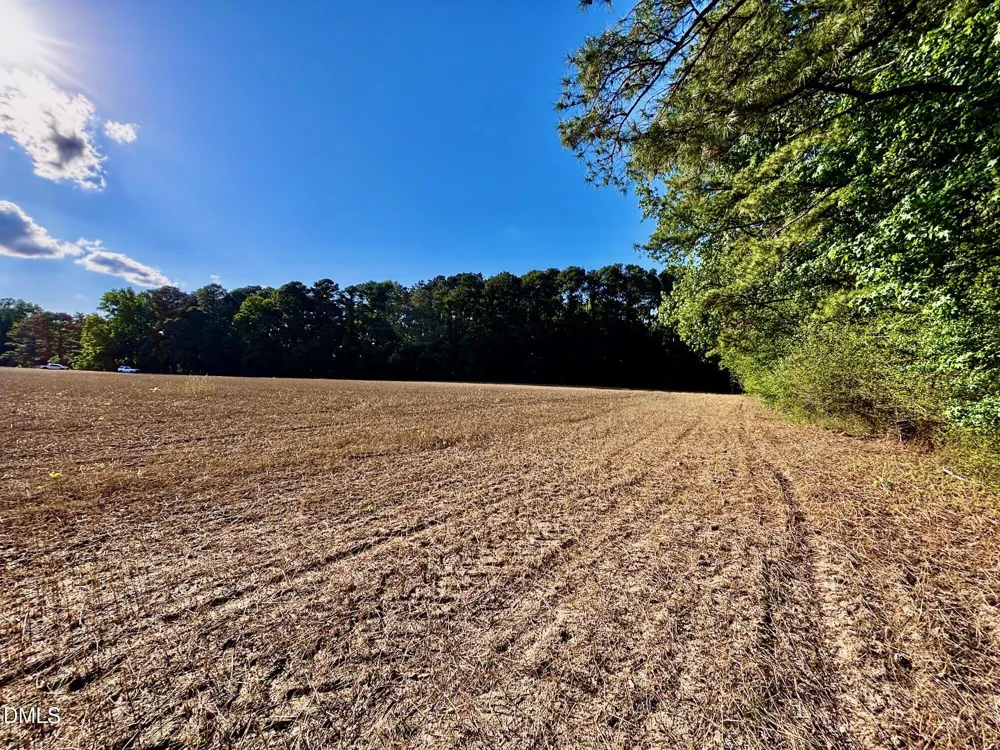 0 Eli Olive Smithfield, NC 27577