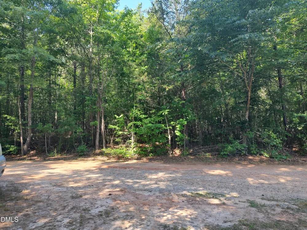 0 Gilliland Street Warrenton, NC 27589