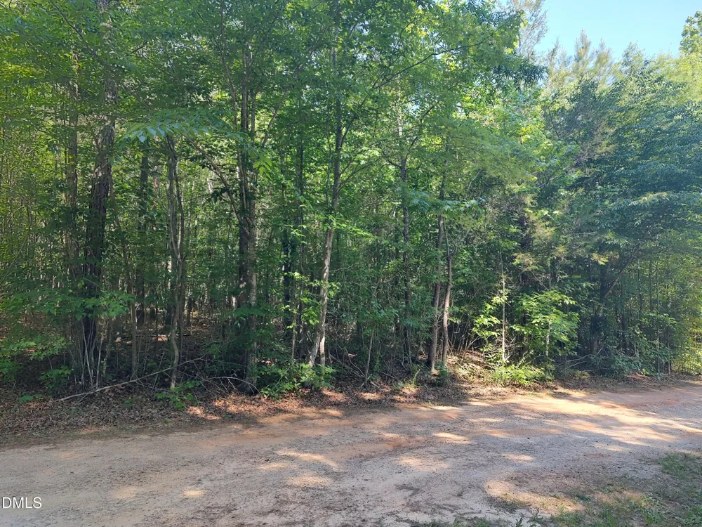 0 Gilliland Street Warrenton, NC 27589