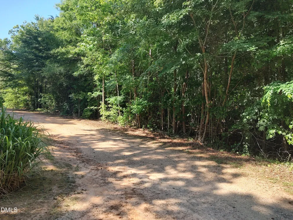0 Gilliland Street Warrenton, NC 27589