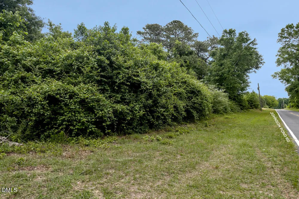 401 Johnson Pond Road Red Springs, NC 28377