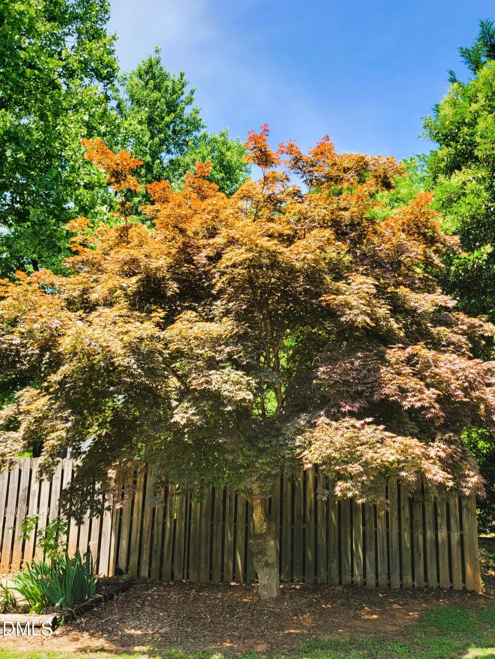 607 E Butler Avenue Liberty, NC 27298