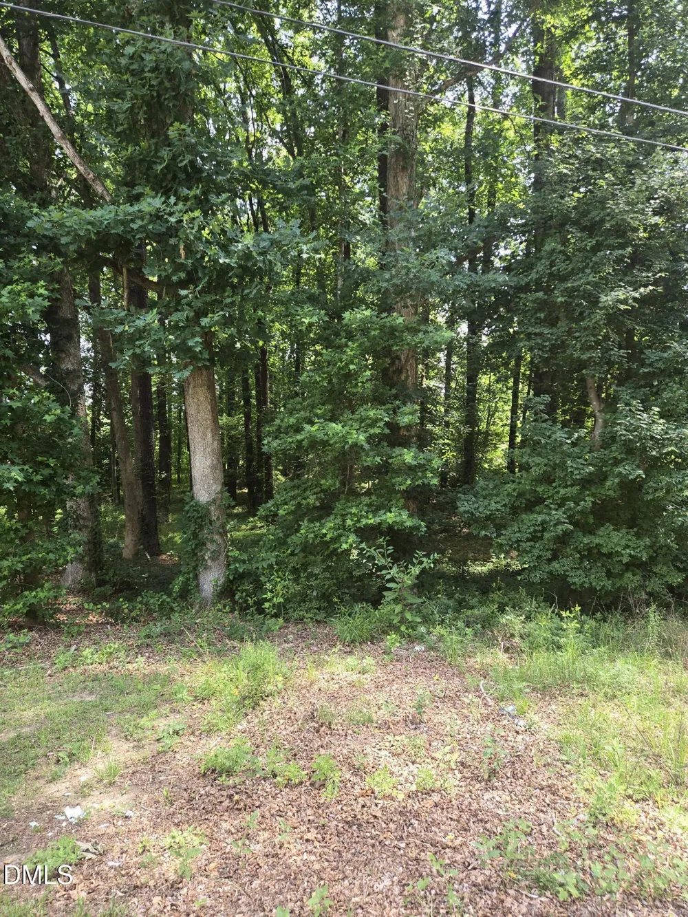 11121 Carolina 42 Holly Springs, NC 27540