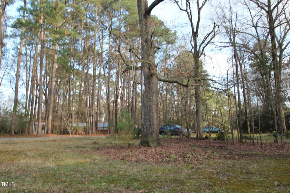 105 Mary Street Carrboro, NC 27510