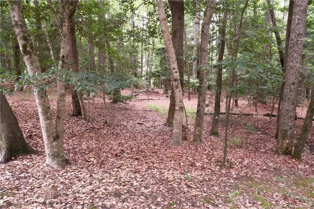 1144 Deerfoot Trail Sanford, NC 27332