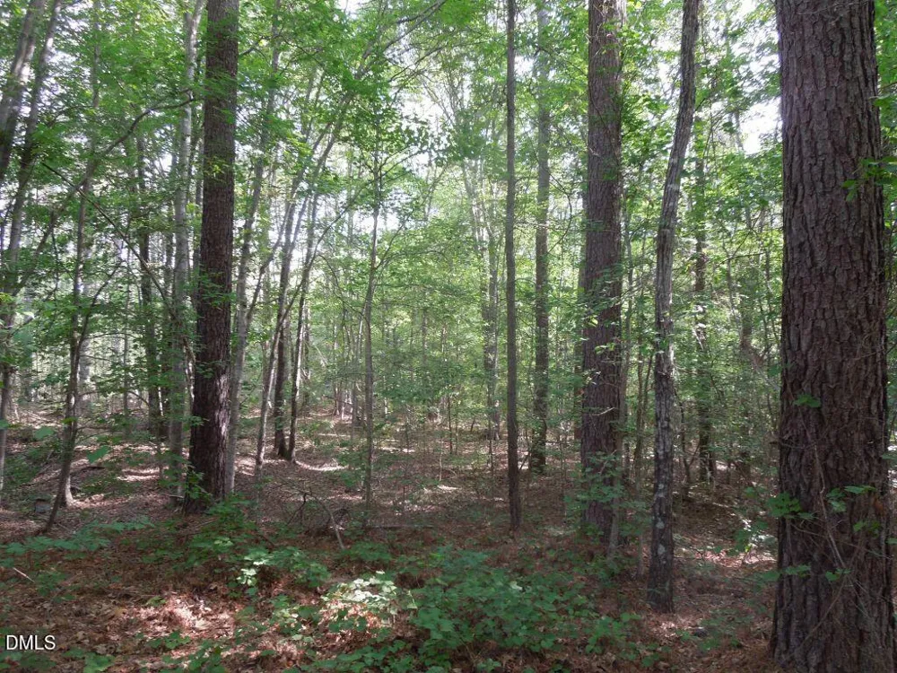 000 Glebe Road Henderson, NC 27537