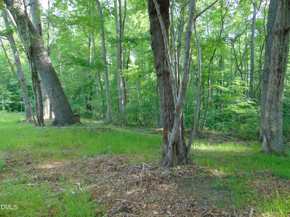 0 Walters Mill Road Providence, NC 27315