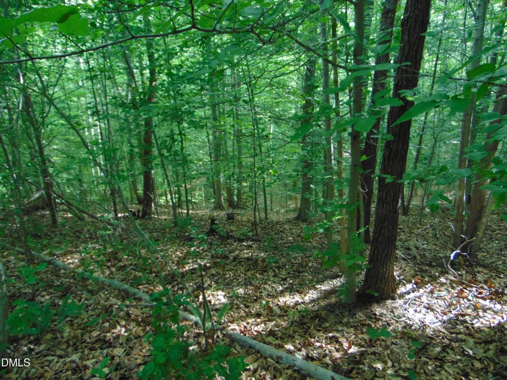0 Walters Mill Road Providence, NC 27315