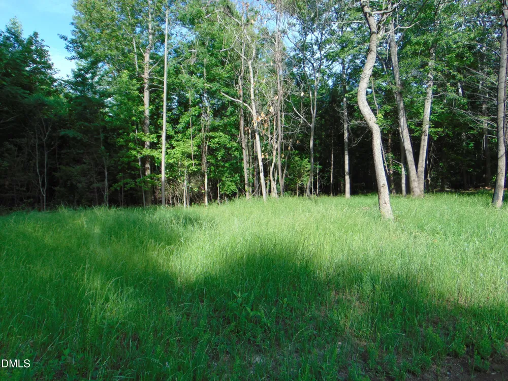0 Walters Mill Road Providence, NC 27315