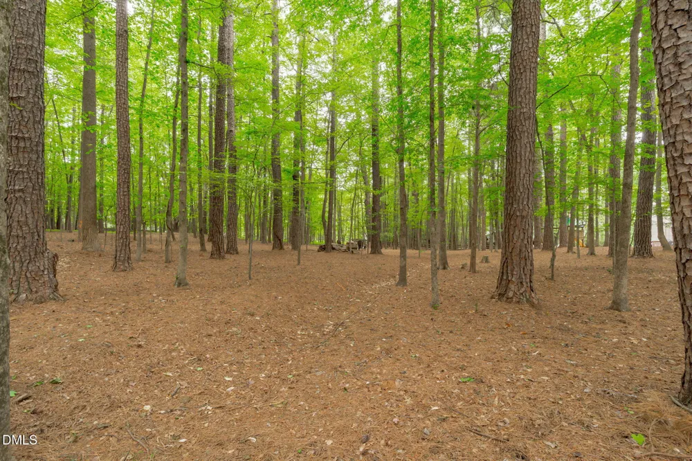 2 Sagamore Place Hillsborough, NC 27278