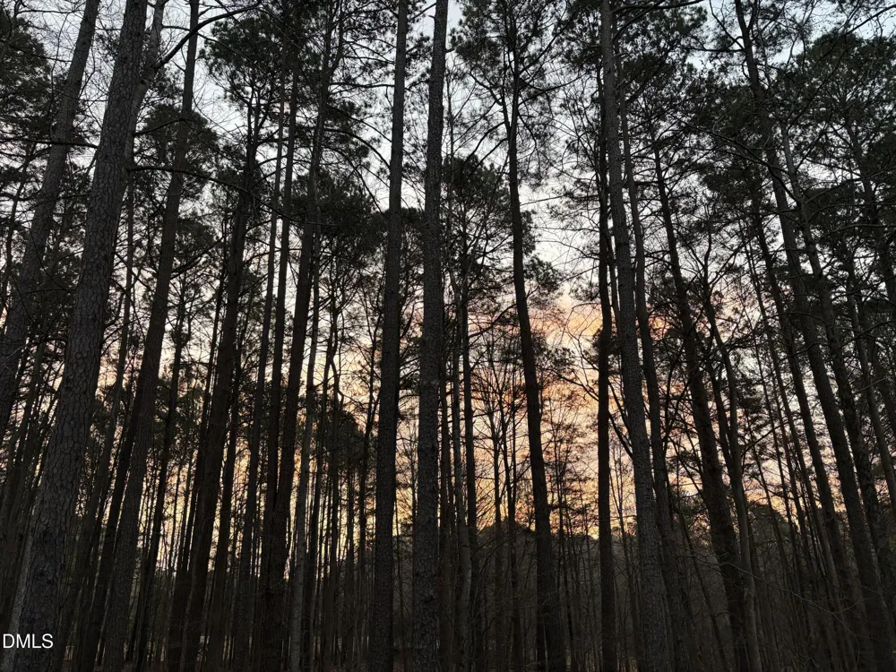 2 Sagamore Place Hillsborough, NC 27278
