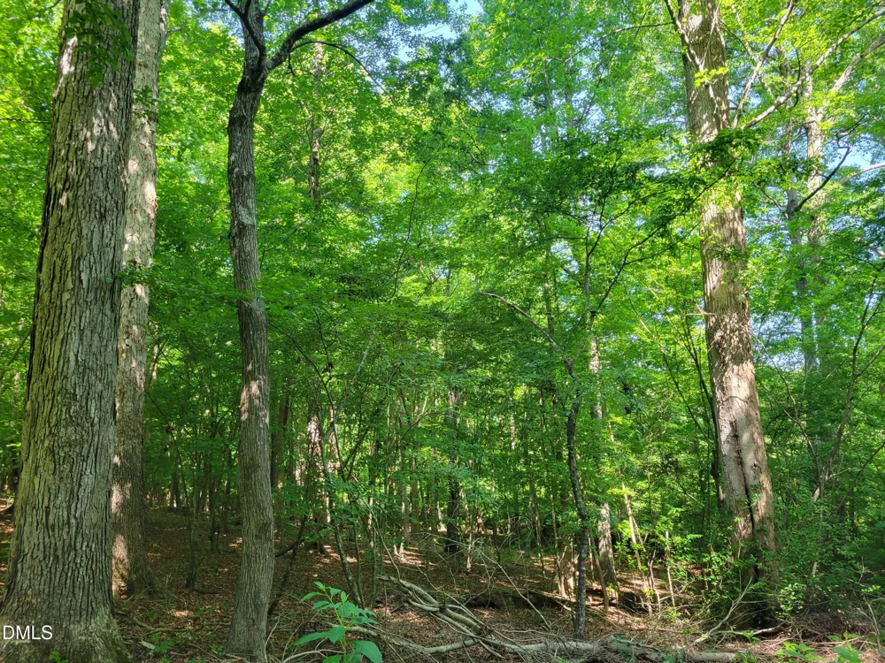 0 Hicks Farm Road Staley, NC 27355