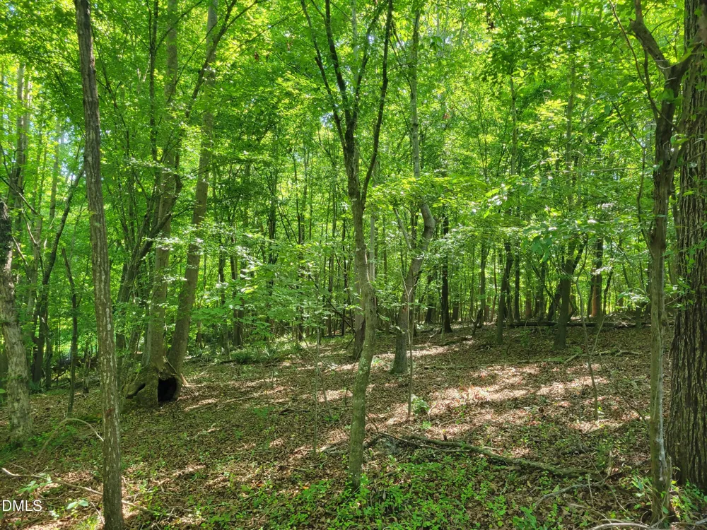 0 Hicks Farm Road Staley, NC 27355
