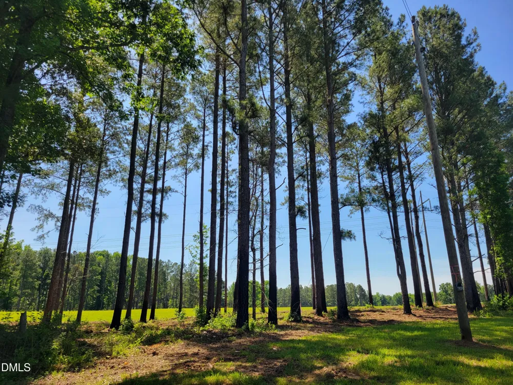 0 Hicks Farm Road Staley, NC 27355