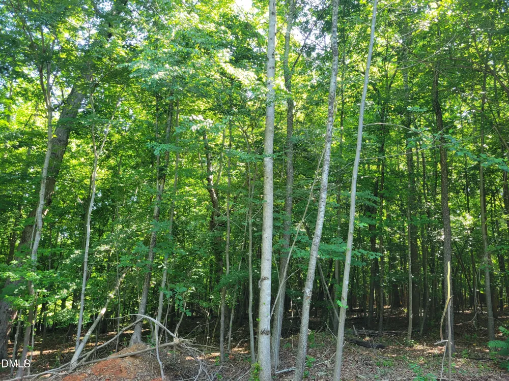 0 Hicks Farm Road Staley, NC 27355