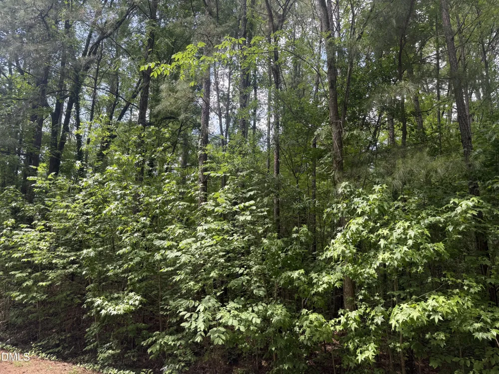 420 Todd Street Durham, NC 27704