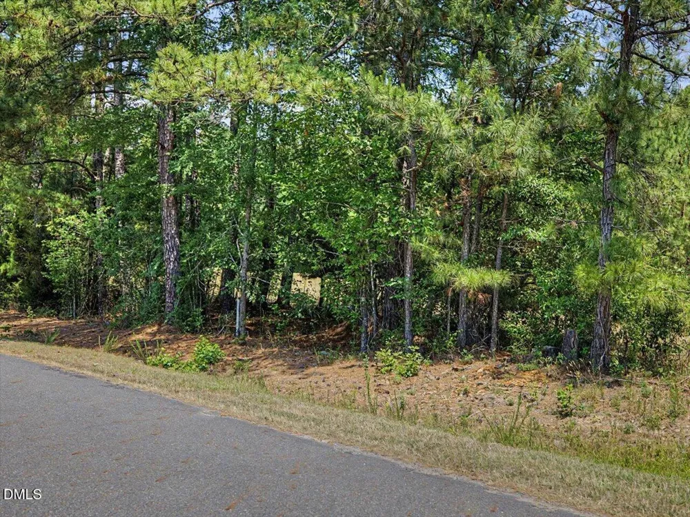 Lot 2b Clyde Farrell Road Apex, NC 27523