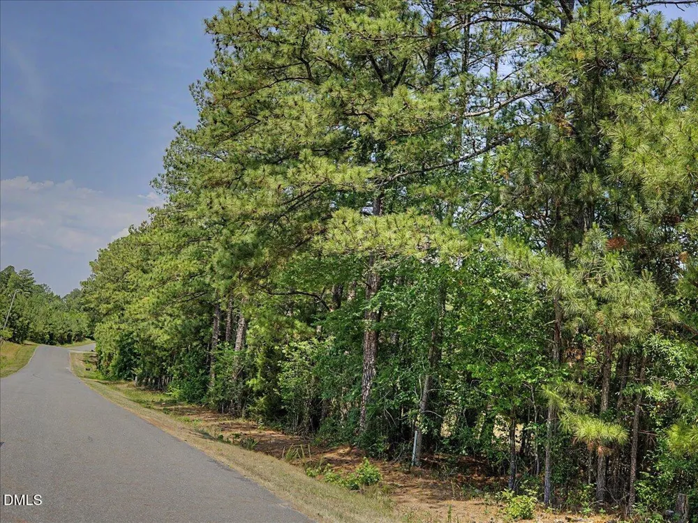 Lot 2b Clyde Farrell Road Apex, NC 27523