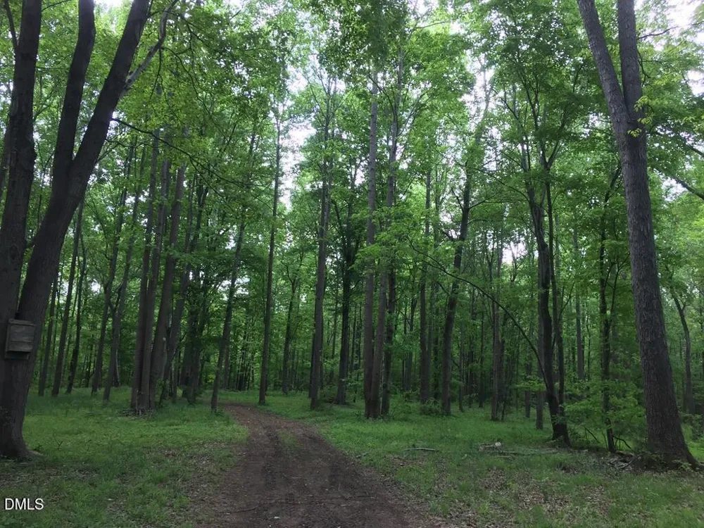 4583 Lambeth Mill Road Bennett, NC 27208