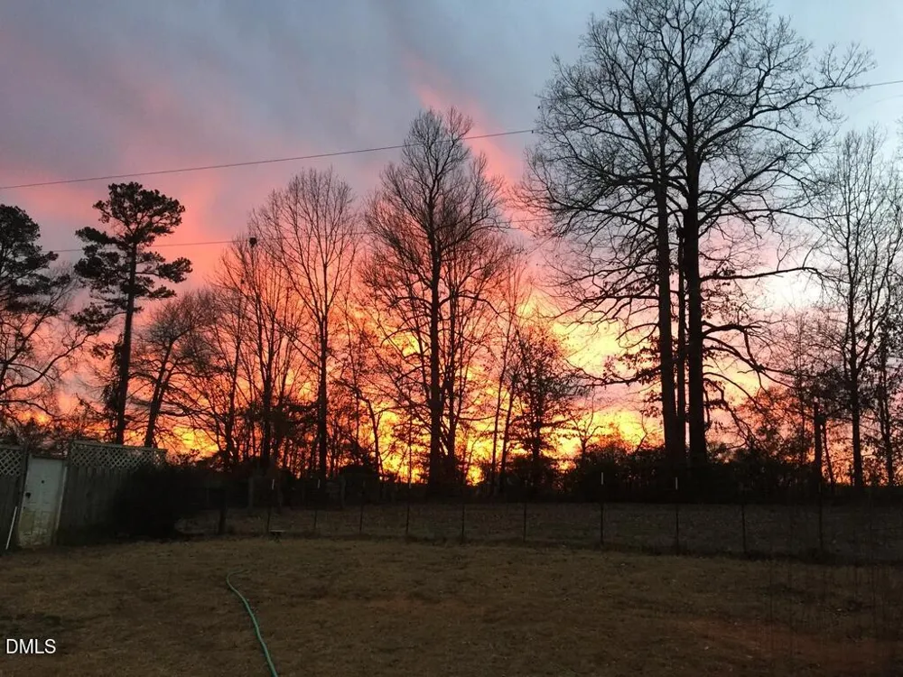 4583 Lambeth Mill Road Bennett, NC 27208