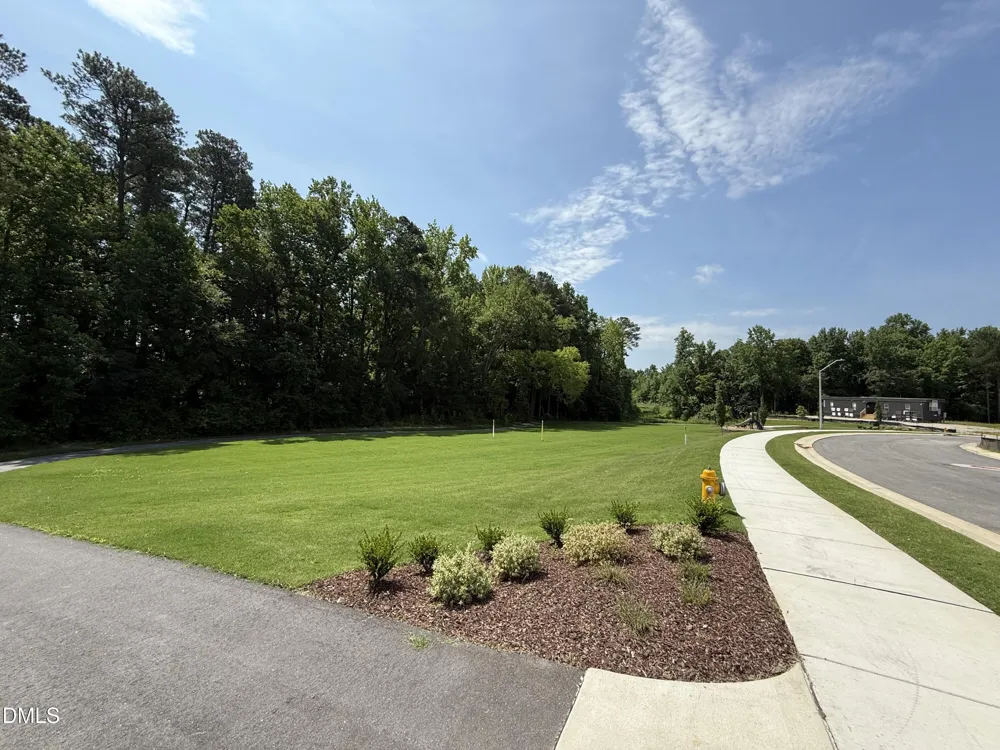 505 Jocund Street #43 Rolesville, NC 27571