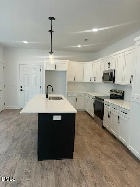 602 Wondertown Drive Erwin, NC 28339