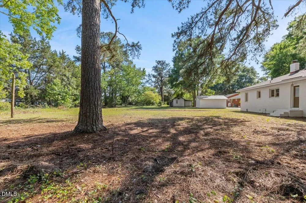 116 S Fitzgerald Street Pine Level, NC 27568