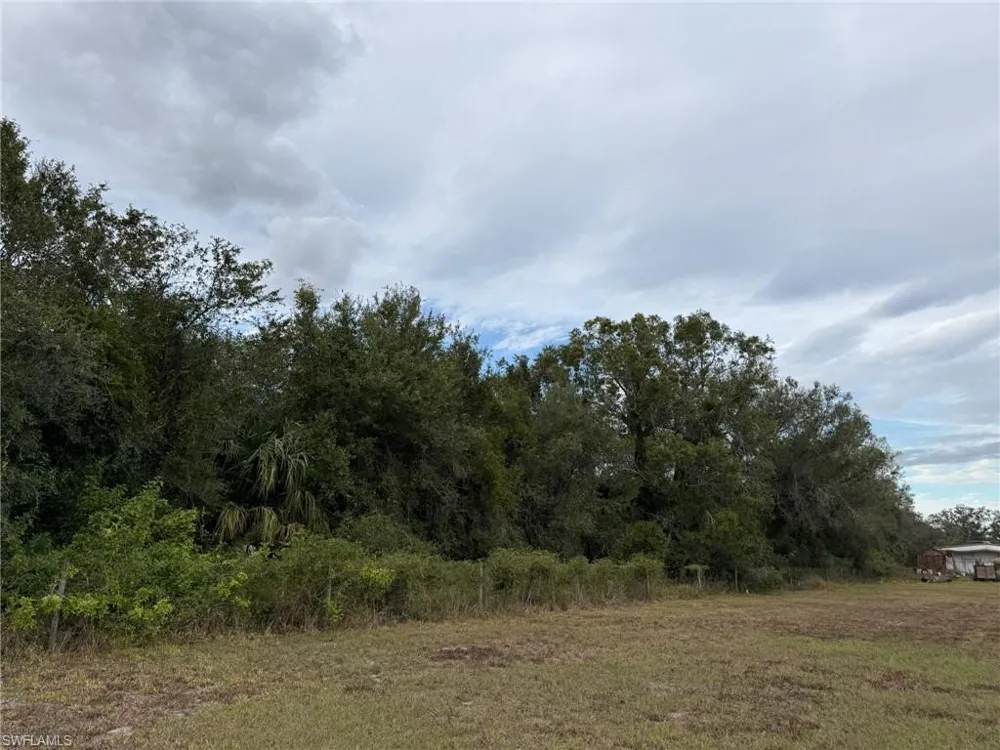 2597 NE Nat Avenue Arcadia, FL 34266