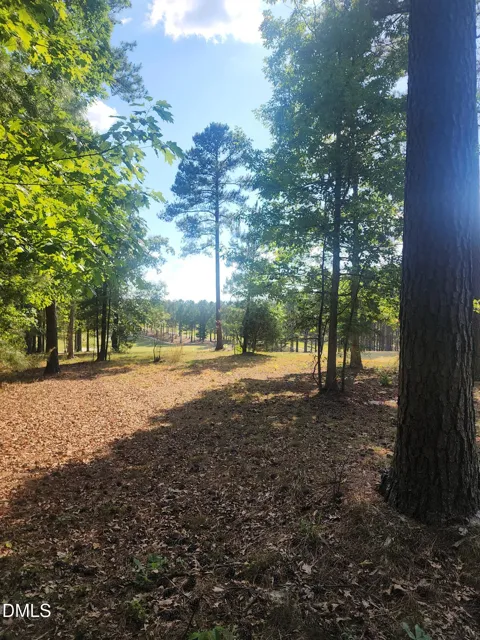 65 High Ridge Lane