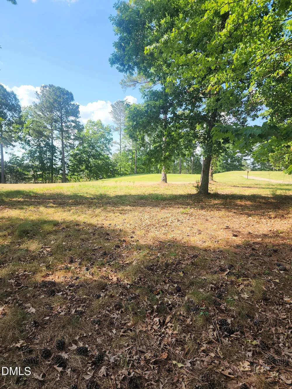 65 High Ridge Lane Pittsboro, NC 27312