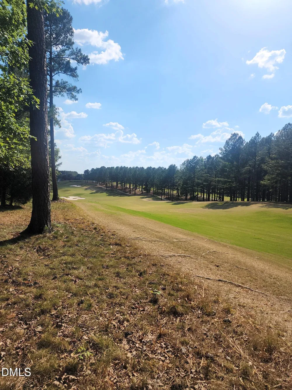 65 High Ridge Lane Pittsboro, NC 27312