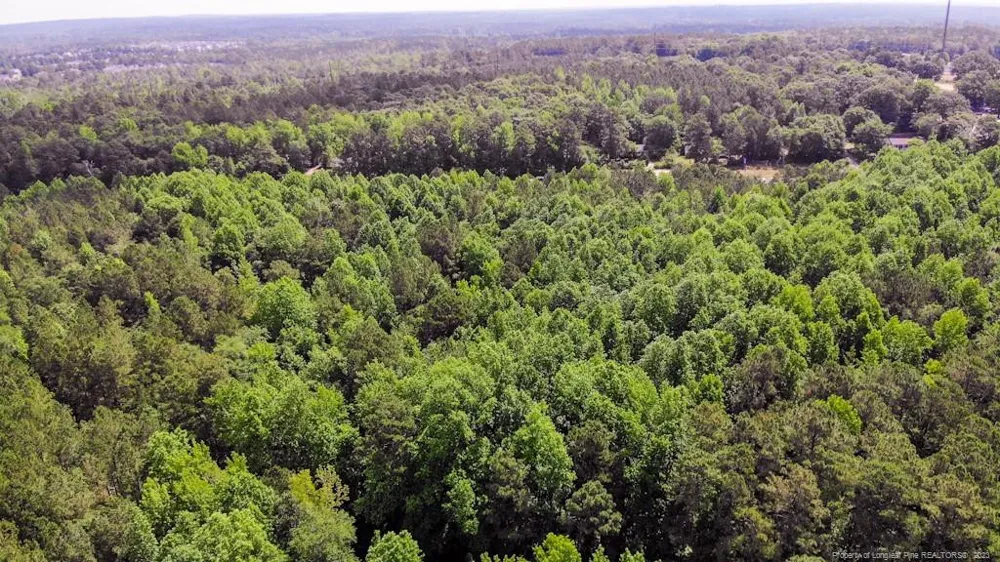 NC 24-87 Cameron, NC 28326