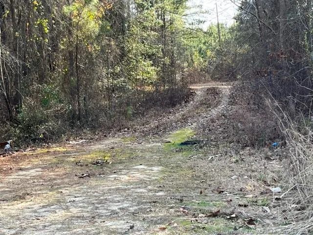 NC 24-87 Cameron, NC 28326