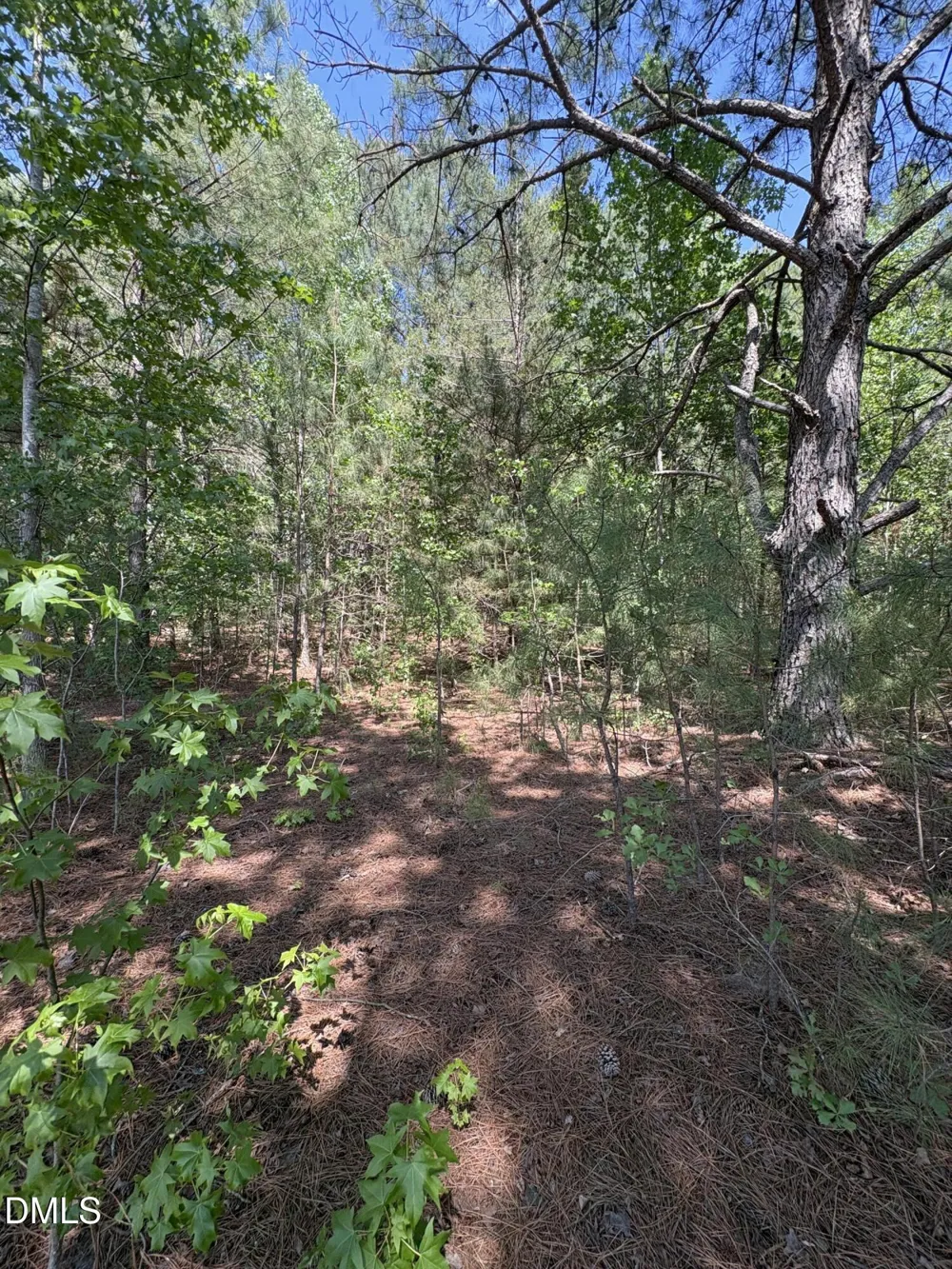 0 Jaback Zebulon, NC 27597