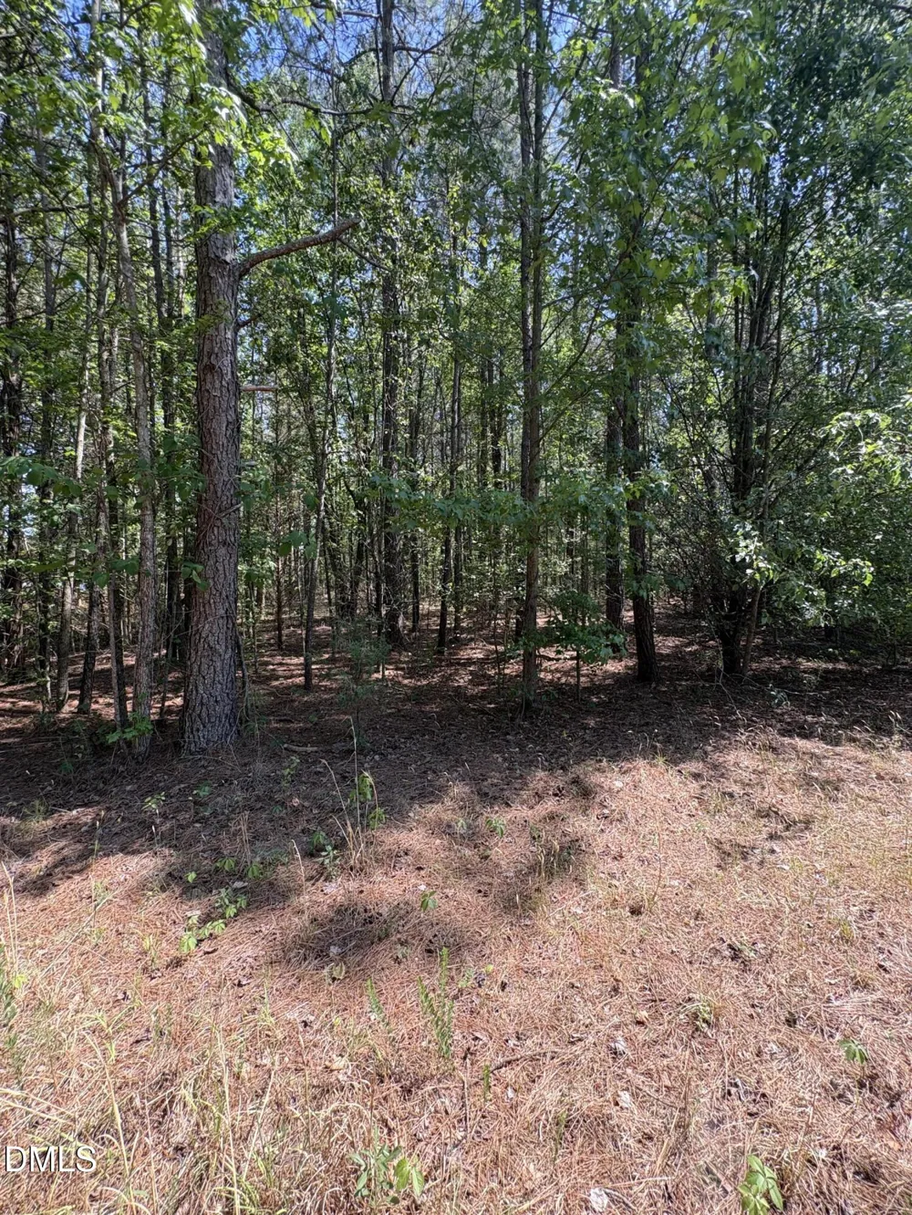 0 Jaback Zebulon, NC 27597