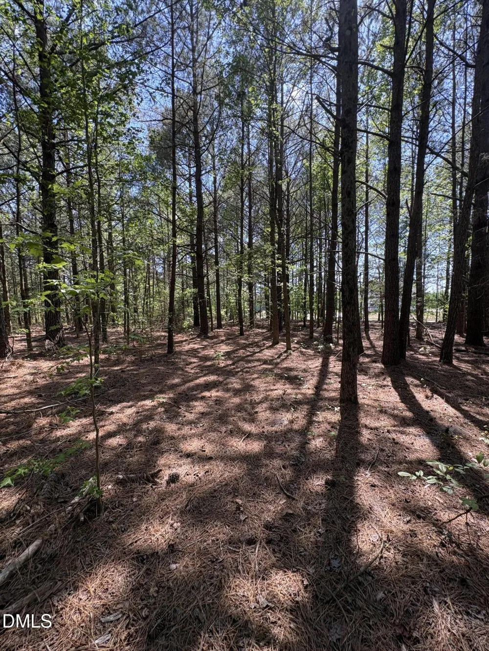 0 Jaback Zebulon, NC 27597