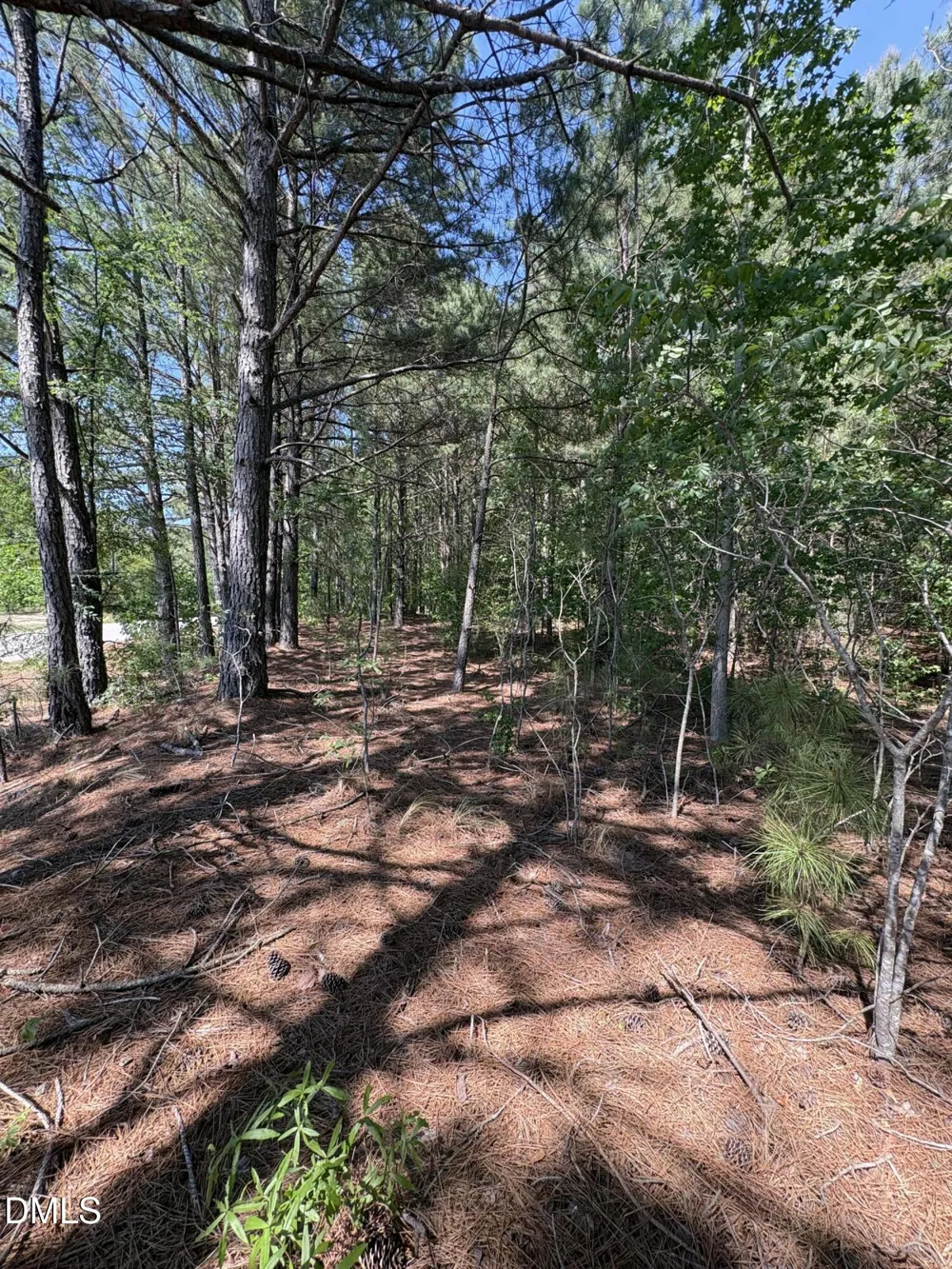 0 Jaback Zebulon, NC 27597