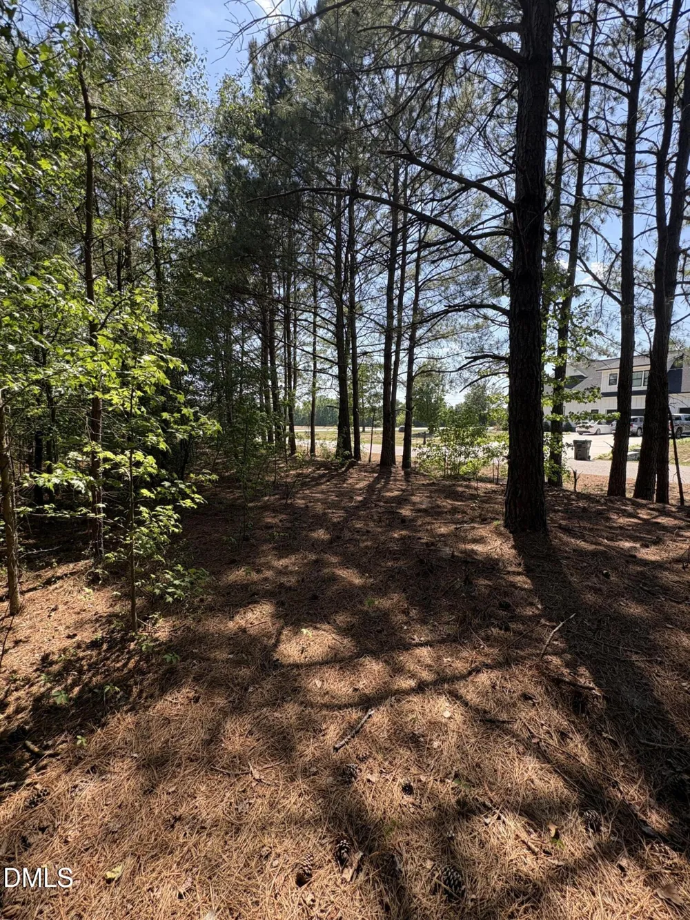 0 Jaback Zebulon, NC 27597