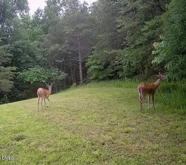 354 Wenasa Trail Yanceyville, NC 27379